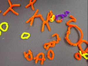 6th Grade Diversity Model