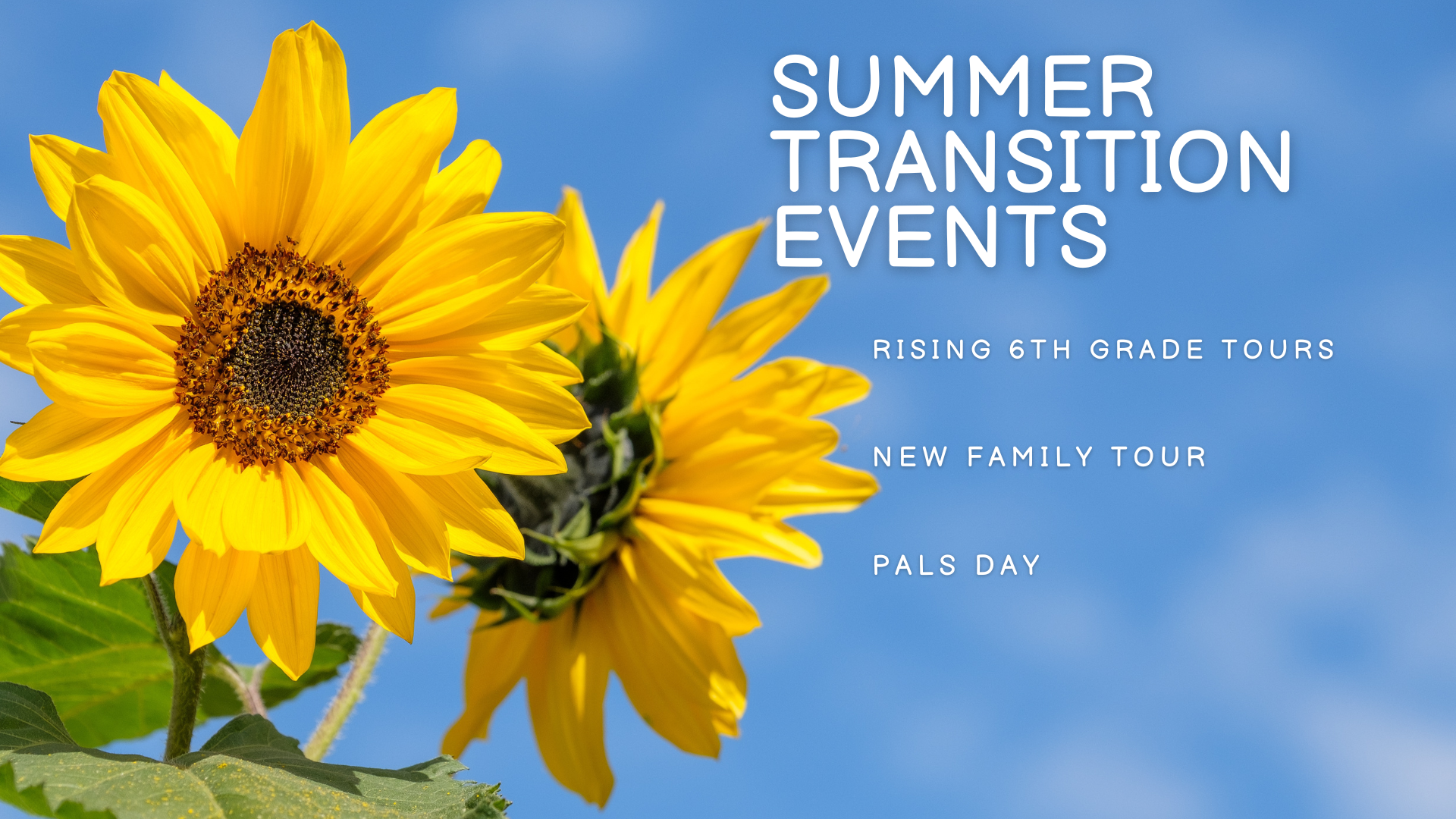 Summer transition events