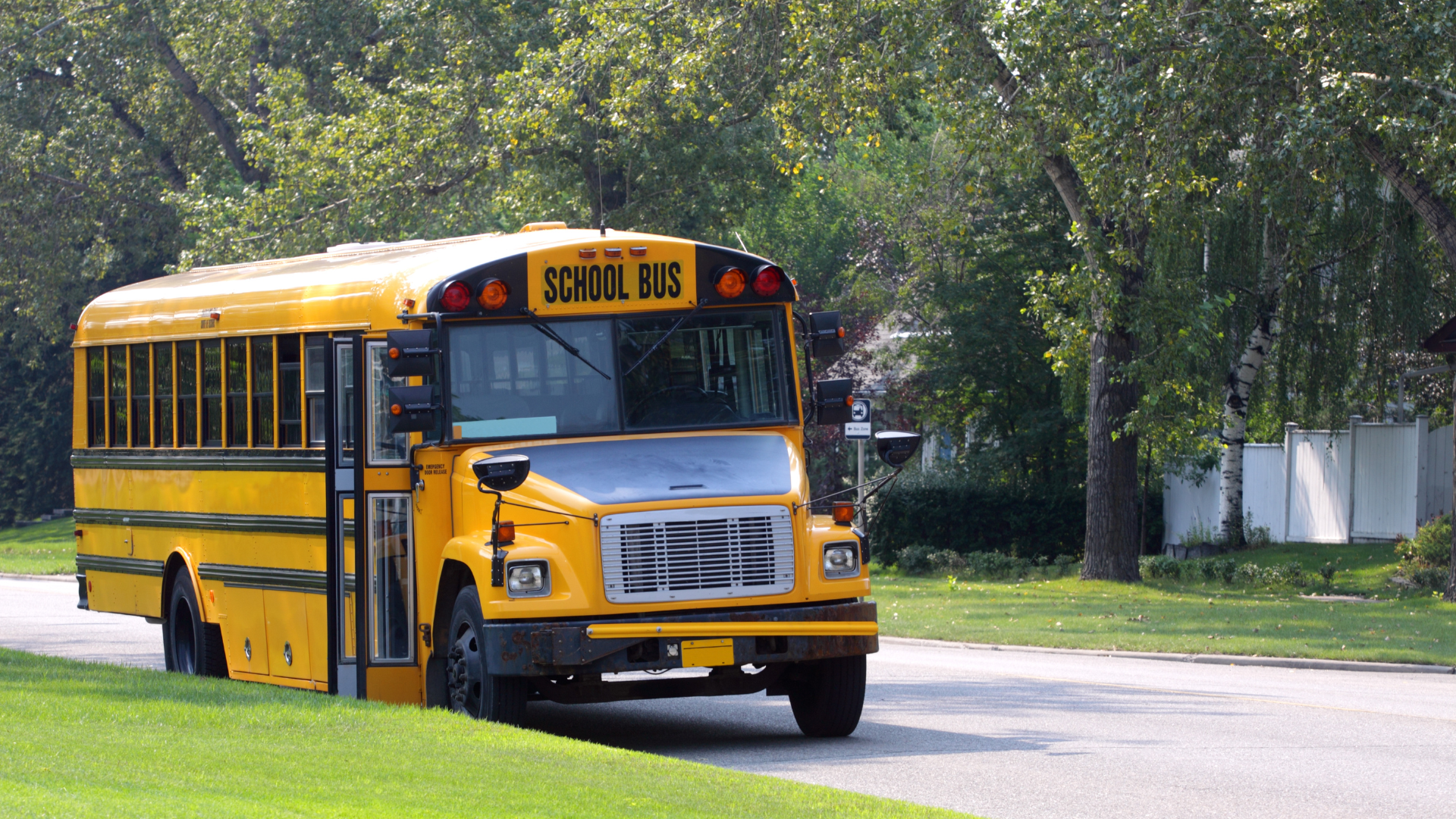 photos of school bus parked at the curb